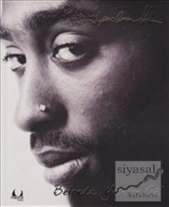 Betonda Yeşeren Gül