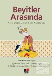 Beyitler Arasında Açıklamalı Divan Şiiri Antolojisi