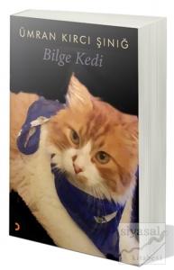 Bilge Kedi