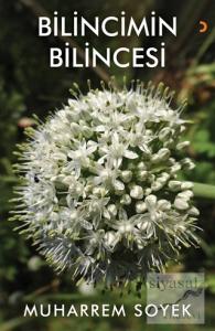 Bilincimin Bilincesi
