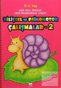 Bilişsel ve Psikomotor Çalışmalar - 2