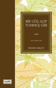 Bir Göz Açıp Yummuş Gibi