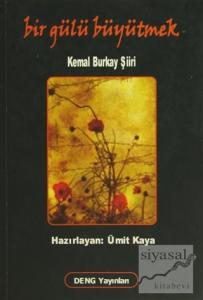 Bir Gülü Büyütmek