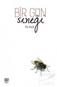 Bir Gün Sineği