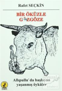 Bir Öküzle Gözgöze