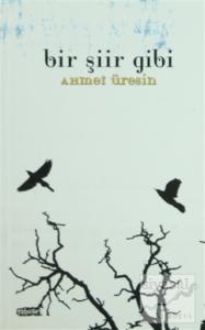 Bir Şiir Gibi