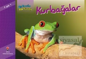 Bir Zamanlar Korkardım - Kurbağalar