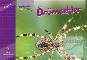 Bir Zamanlar Korkardım - Örümcekler