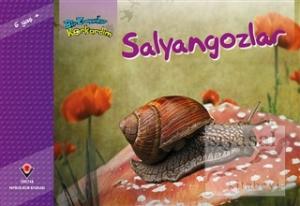 Bir Zamanlar Korkardım - Salyangozlar
