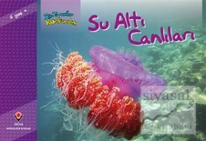 Bir Zamanlar Korkardım - Su Altı Canlıları