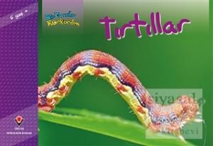 Bir Zamanlar Korkardım - Tırtıllar