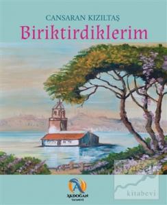 Biriktirdiklerim
