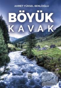 Böyük Kavak