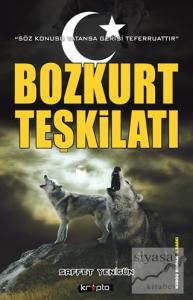 Bozkurt Teşkilatı