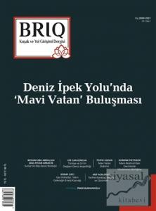 BRİQ Kuşak ve Yol Girişimi Dergisi Türkçe-İngilizce Cilt: 2 Sayı: 1 Kış 2020 - 2021