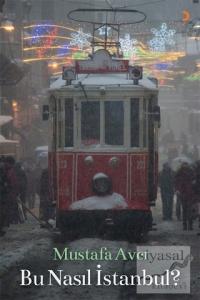 Bu Nasıl İstanbul?