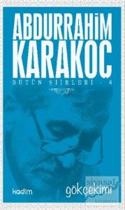 Bütün Şiirleri 6: Gökçekimi