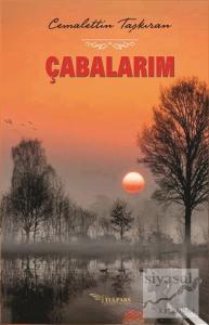 Çabalarım