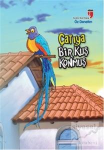 Çatıya Bir Kuş Konmuş - Öz Denetim Çatıya Bir Kuş Konmuş - Öz Denetim