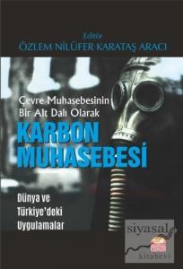 Çevre Muhasebesinin Bir Alt Dalı Olarak Karbon Muhasebesi