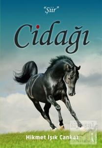 Cidağı