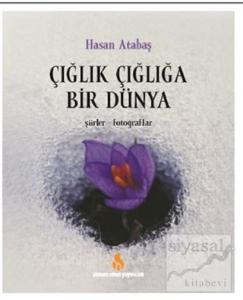 Çığlık Çığlığa Bir Dünya