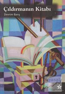 Çıldırmanın Kitabı