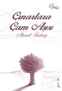 Çınarlara Çam Aşısı