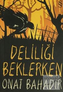Deliliği Beklerken