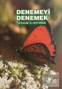 Denemeyi Denemek
