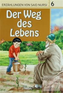 Der Weg Des Lebens