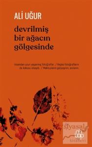 Devrilmiş Bir Ağacın Gölgesinde