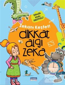 Dikkat Algı Zeka - Zekanı Keşfet ! Dikkat Algı Zeka - Zekanı Keşfet !