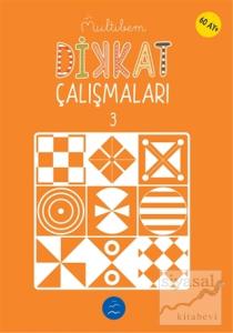 Dikkat Çalışmaları - 3