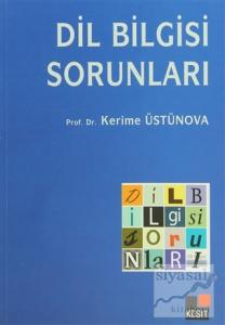 Dilbilgisi Sorunları