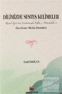 Dilimizde Sesteş Kelimeler