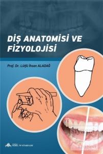 Diş Anatomisi ve Fizyolojisi