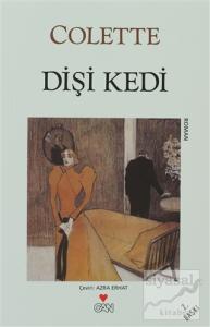 Dişi Kedi