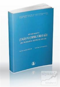 Diyarbakır İli Çüngüş ve Çermik Yöresi Ağzı