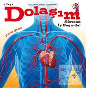 Dolaşım Sistemi İş Başında! - Vücudumuzdaki Sistemler