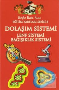 Dolaşım Sistemi, Lenf Sistemi, Bağışıklık Sistemi - Eğitim Kartları Serisi 3