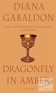 Dragonfly In Amber