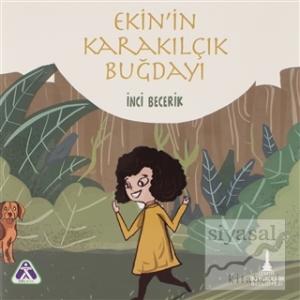 Ekin'in Karakılçık Buğdayı