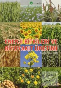 Enerji Bitkileri ve Biyoyakıt Üretimi
