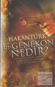 Ergenekon Nedir? Ergenekon Nedir?