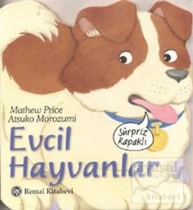 Evcil Hayvanlar
