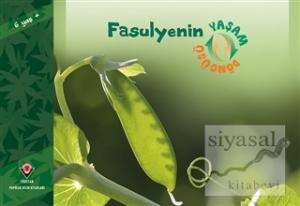 Fasulyenin Yaşam Döngüsü