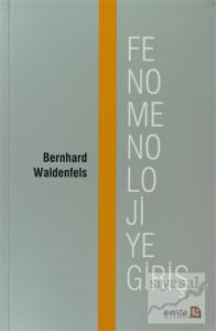 Fenomenolojiye Giriş