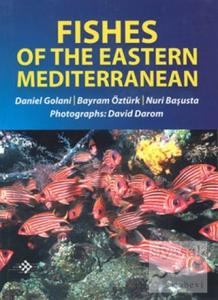 Fishes Of The Eastern Mediterranean