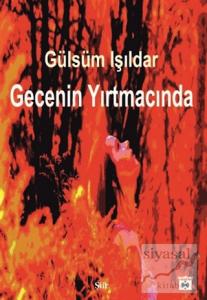 Gecenin Yırtmacında